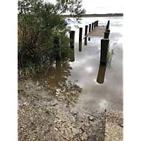 King tide image